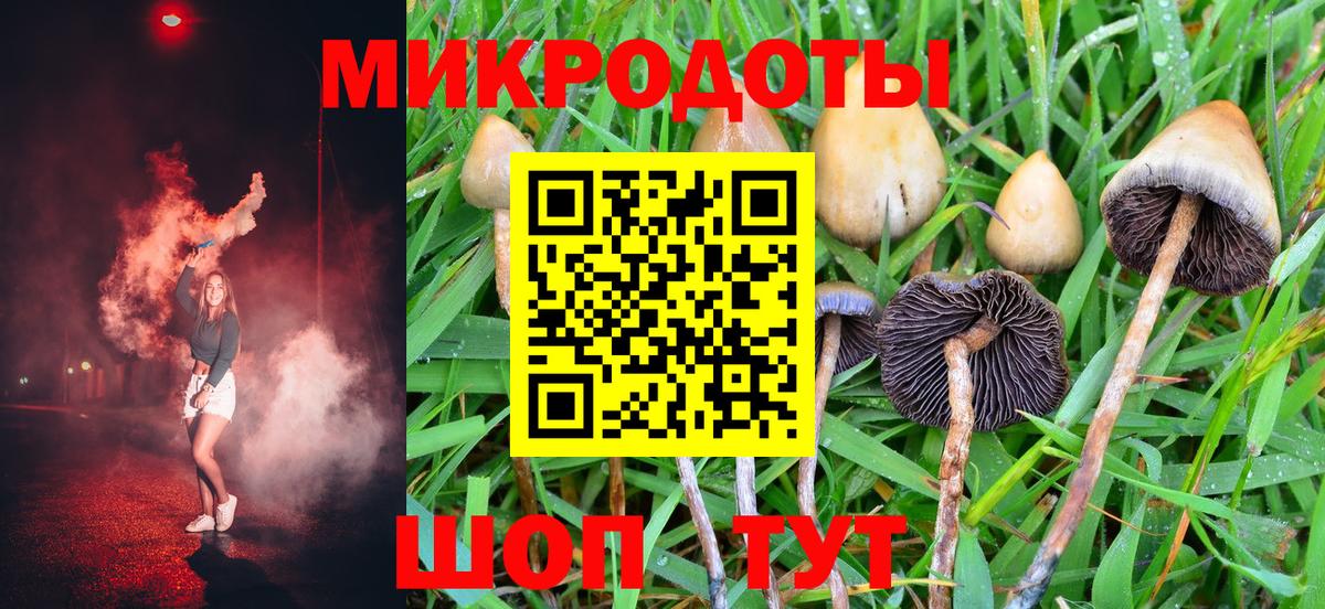 Галлюциногенные грибы GOLDEN TEACHER Кунгур